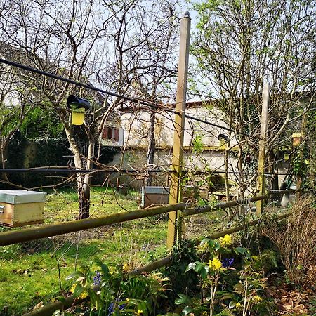 Villa Le Cloky Thomery Exterior photo